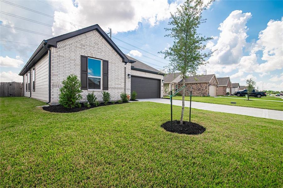 Additional view of the front lawn.