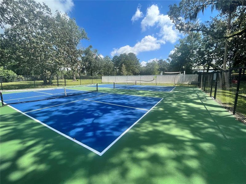 Community Pickle Ball Courts