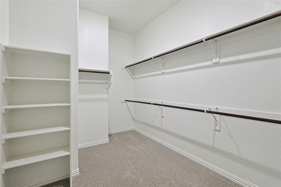 Walk in closet featuring carpet floors