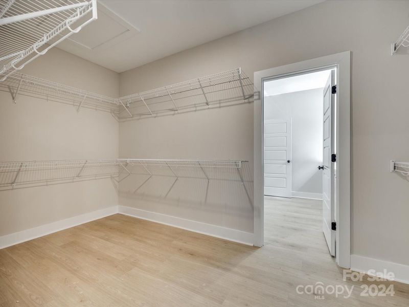 Enormous Primary BR closet