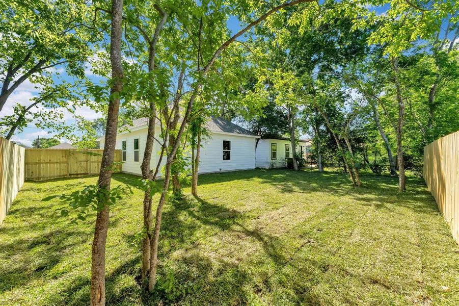 Backyard - The large backyard offers plenty of outdoor living space for relaxation and entertainment.