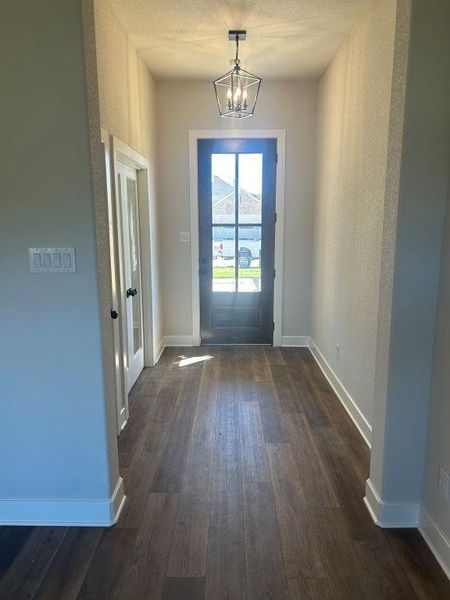 Entryway featuring a chandelier and dark wood-type flooring