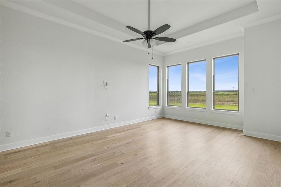 Empty room featuring crown molding, ceiling fan, a raised ceiling, and light wood-type flooring