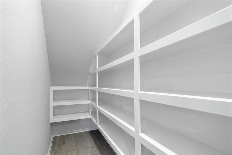 Huge walk-in pantry with plenty of storage space