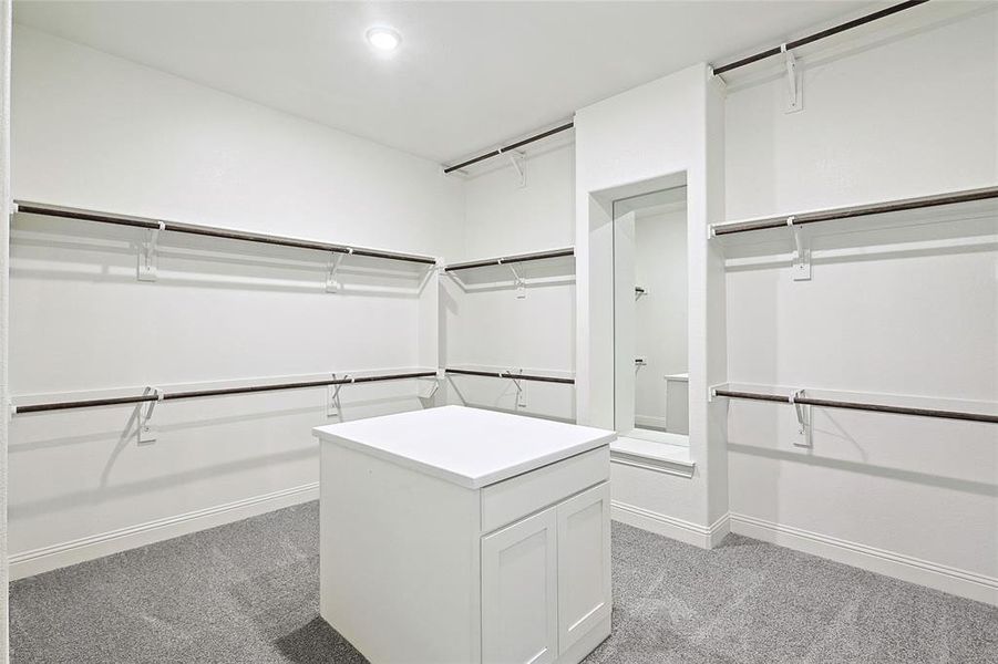 Spacious closet featuring light carpet