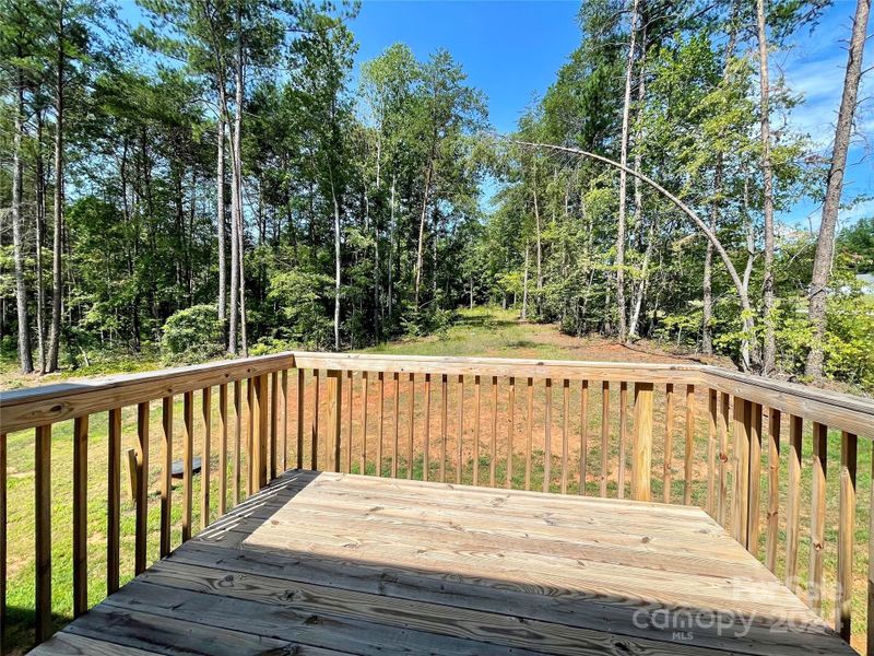 Large deck overlooking backyard with mature trees