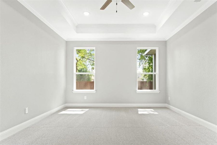 Carpeted spare room featuring ceiling fan, ornamental molding, and a healthy amount of sunlight