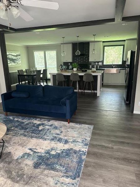 Living room featuring sink, dark wood-type flooring, plenty of natural light, and ceiling fan