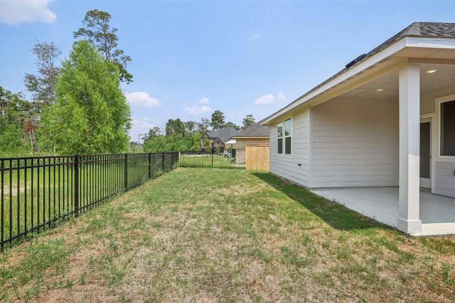 Backyard area