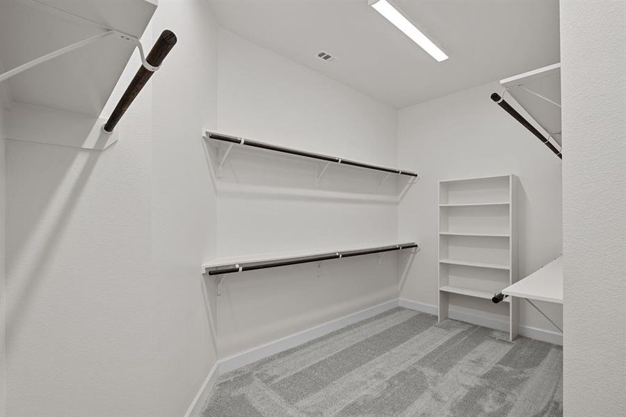 EXAMPLE PHOTO: Large walk-in closet!