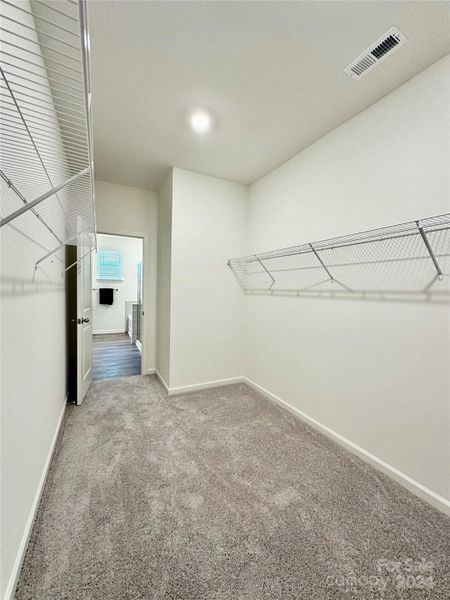 Large Primary Bedroom Closet