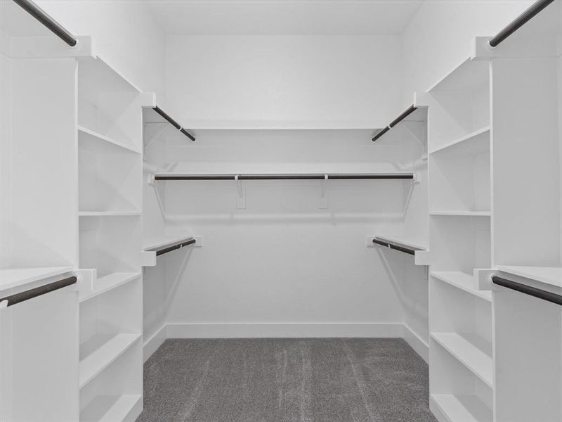 Walk in closet featuring dark colored carpet