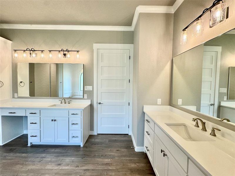 Primary Bathroom featuring hardwood / wood-style flooring, crown molding, and vanity