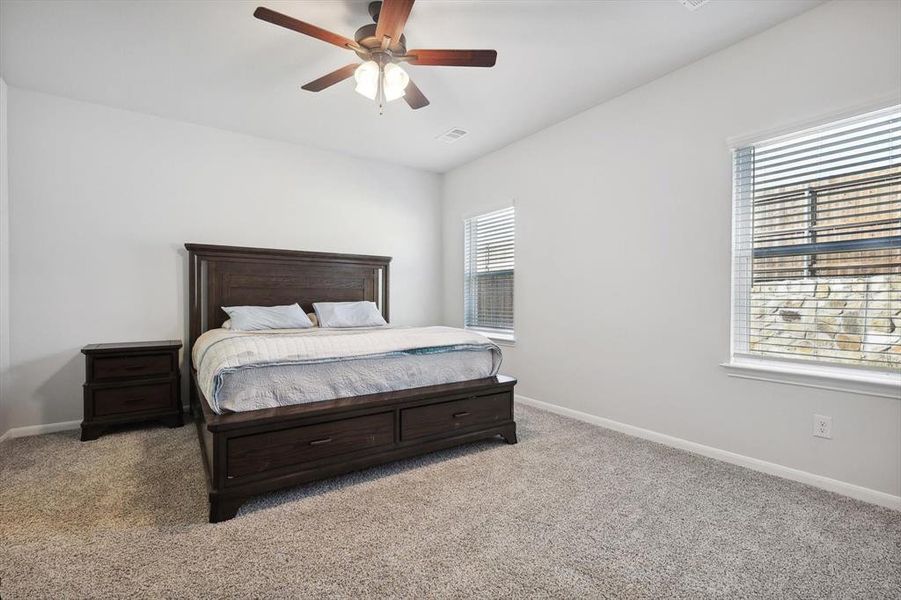 Carpeted bedroom with ceiling fan and multiple windows