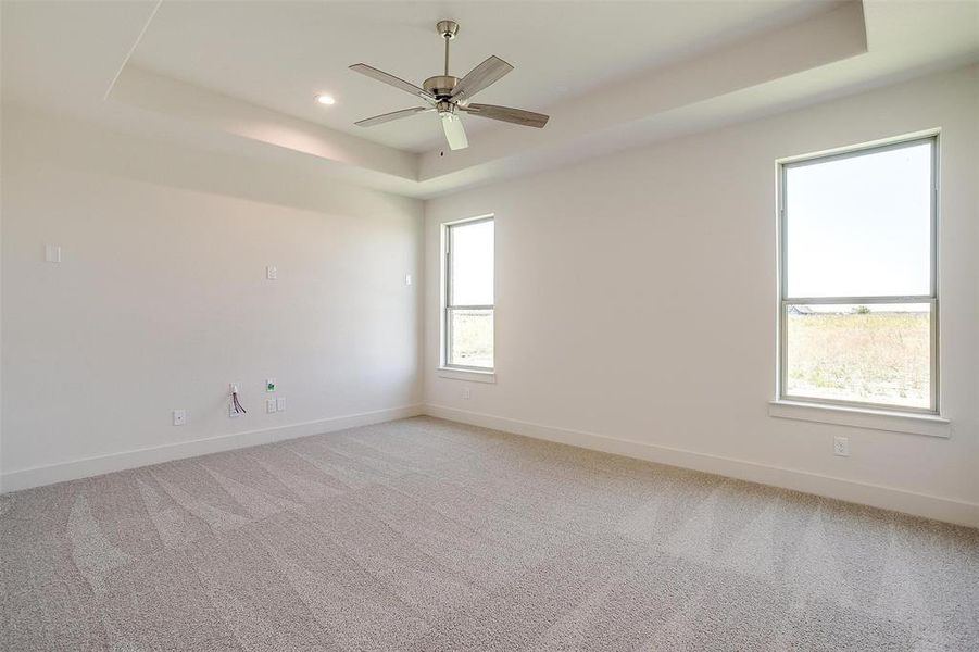 Carpeted empty room featuring a wealth of natural light, ceiling fan, and a raised ceiling