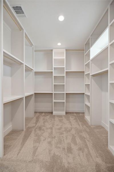 Spacious closet featuring carpet floors