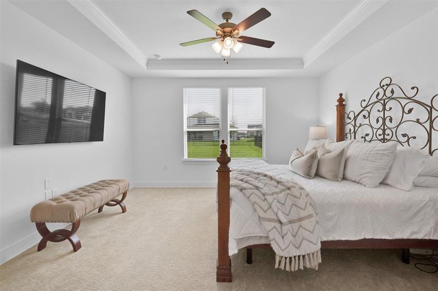 Master suite with trey ceiling and faux blinds throughout the home for added privacy.