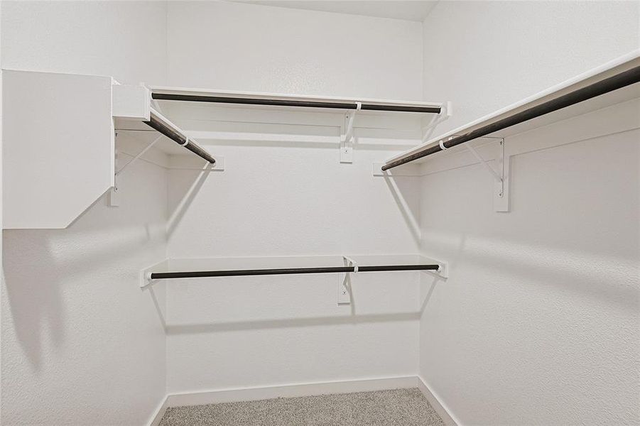 Walk in closet featuring carpet flooring