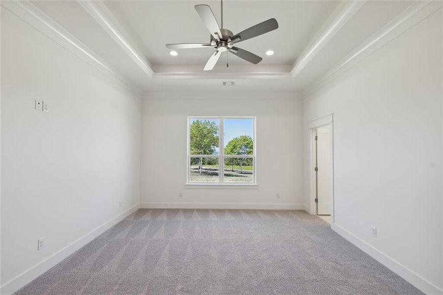 Carpeted empty room with ornamental molding, a tray ceiling, and ceiling fan