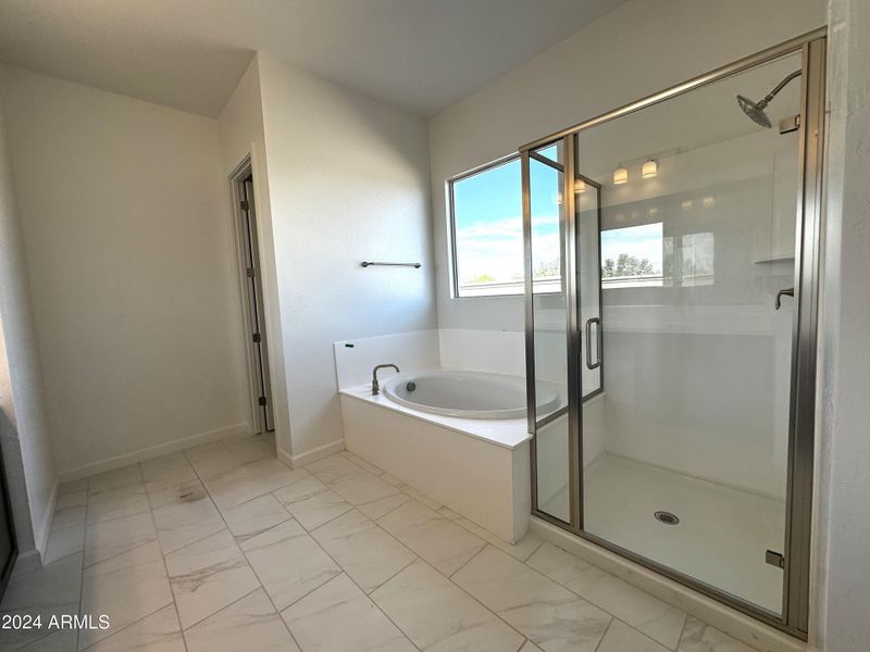 41 - Walk in Shower and soaking tub