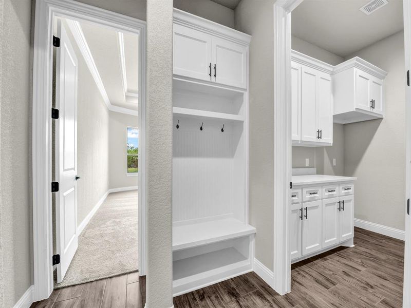 Mudroom featuring crown molding and wood-type flooring