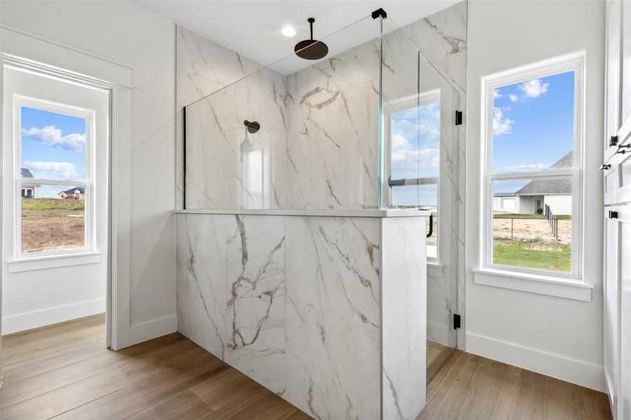 Bathroom with plenty of natural light, wood-type flooring, and walk in shower