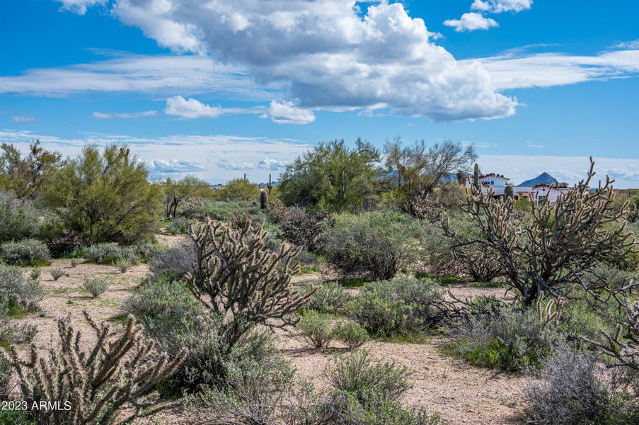 Lot 120 at 8627 E Whisper Rock Trl-7899