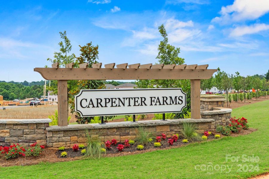Welcome to Carpenter Farms!