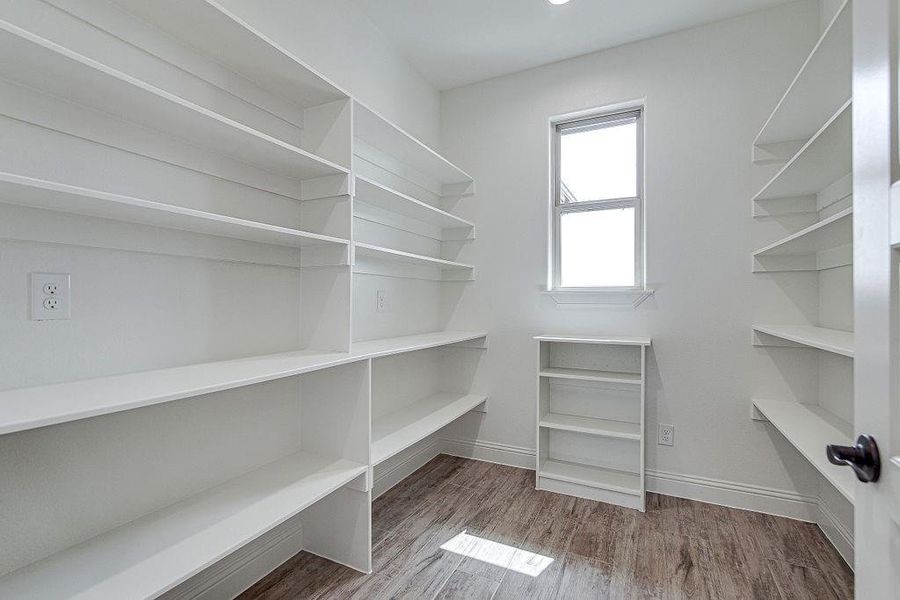 Spacious closet featuring wood-type flooring