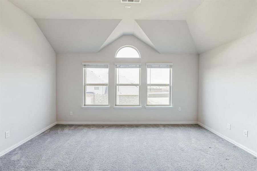 Unfurnished room featuring carpet floors and lofted ceiling