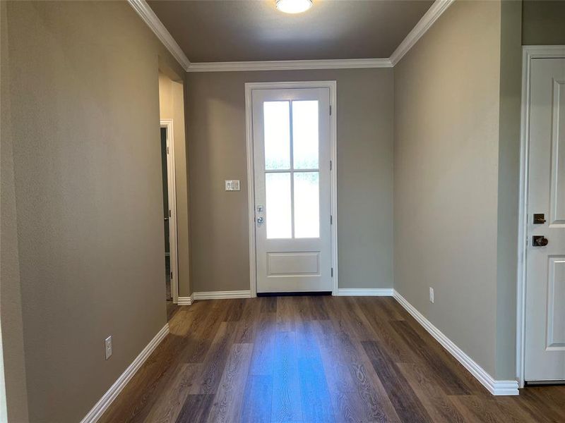 Entryway with crown molding and dark hardwood / wood-style flooring