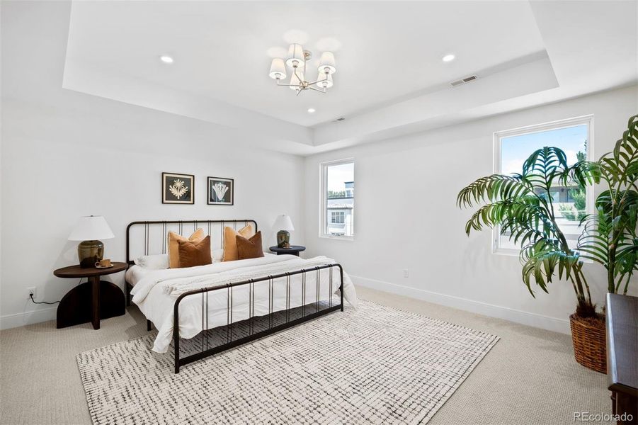 Spacious primary bedroom elevated by ceiling cutout