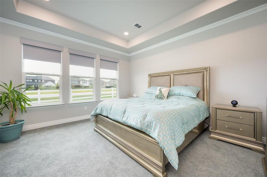 Primary bedroom with ornamental molding, tray ceiling and carpet