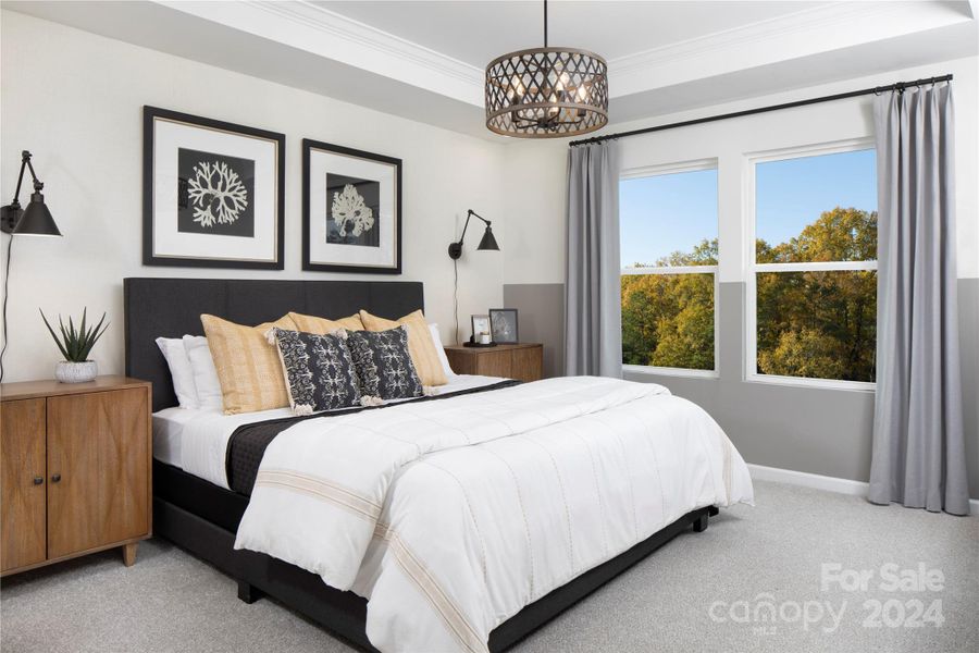 Representative Photo Large Owner's Suite with Tray Ceiling