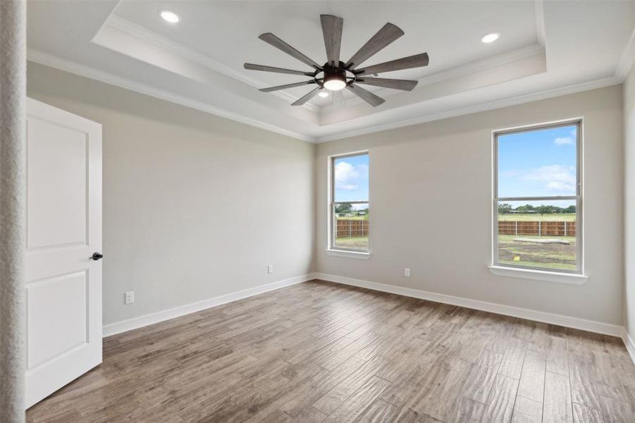 Spare room with light wood-type flooring, ceiling fan, a raised ceiling, and crown molding