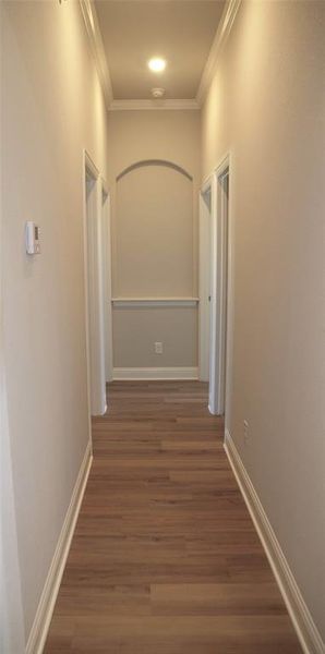 Corridor featuring dark hardwood / wood-style floors and ornamental molding