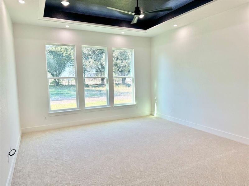 Spare room with light carpet, a tray ceiling, a healthy amount of sunlight, and ceiling fan