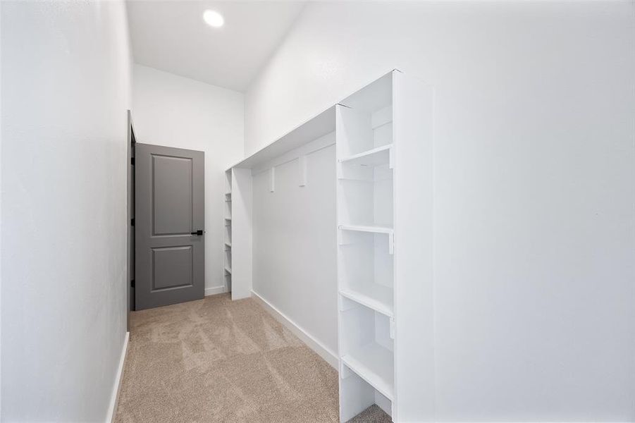 Spacious closet with light carpet