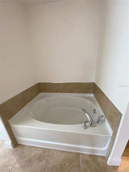 Primary Bath - Tub