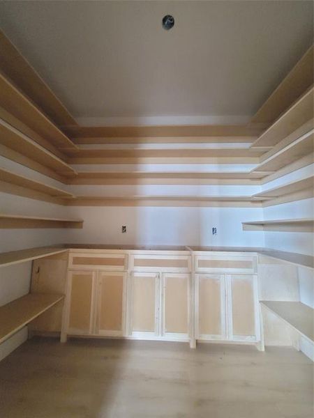 View of Oversized Dreamers Pantry with custom built in cabinets and shelving.