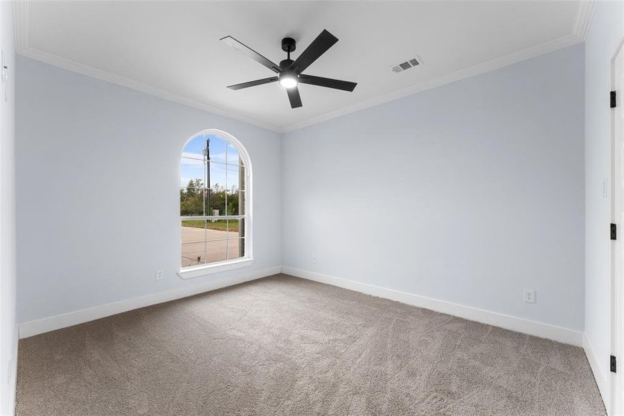 Carpeted empty room featuring crown molding and ceiling fan