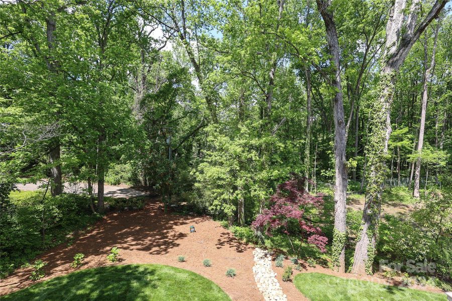 Lush back yard with beautiful trees