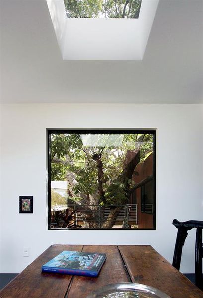 Picturesque living/dining room window highlighting the magnificent 200 year old pecan tree.