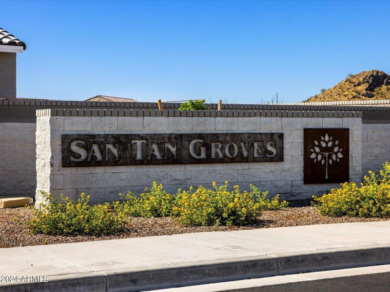 02-San Tan Groves_03 - Copy