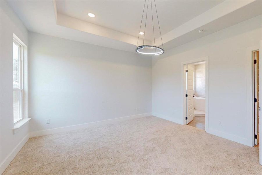 Carpeted empty room featuring a wealth of natural light and a raised ceiling