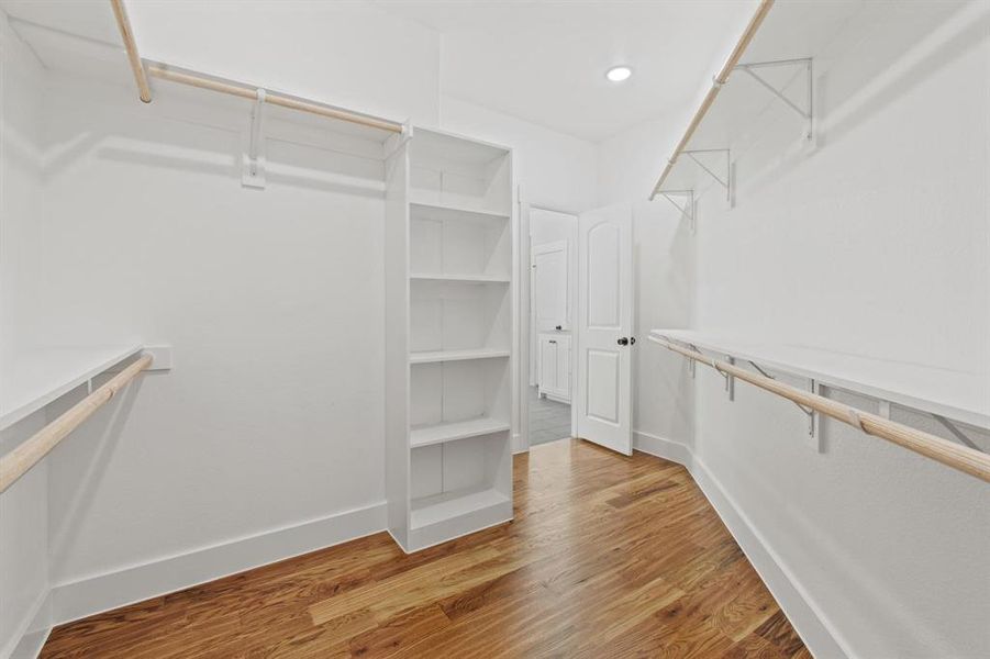 Walk in closet with hardwood / wood-style floors