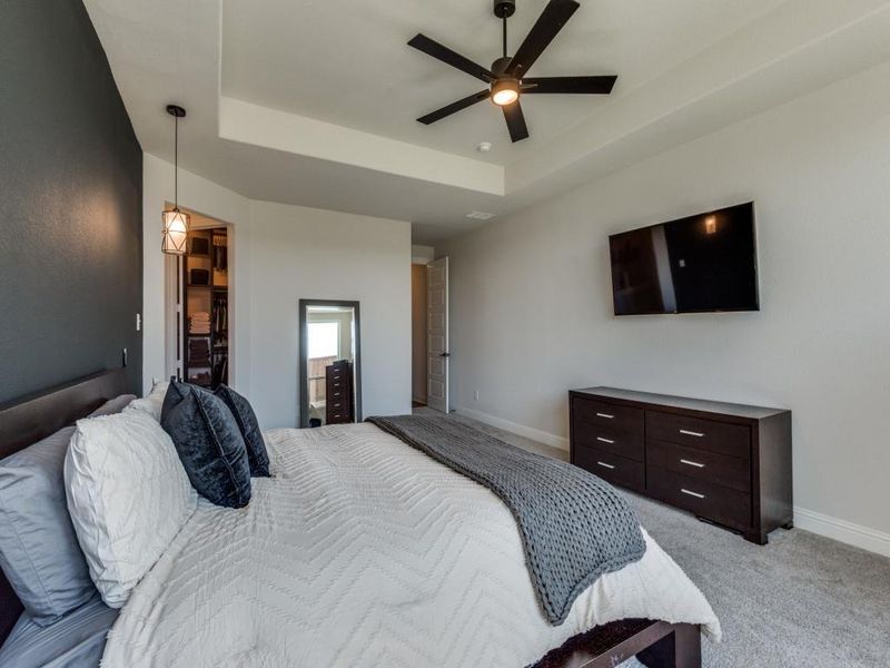 Carpeted bedroom with a tray ceiling and ceiling fan