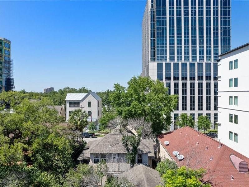 Northern-facing view of River Oaks tree canopy. Shown at approximate height of 4th Floor. Views shown may not resemble actual unit view.