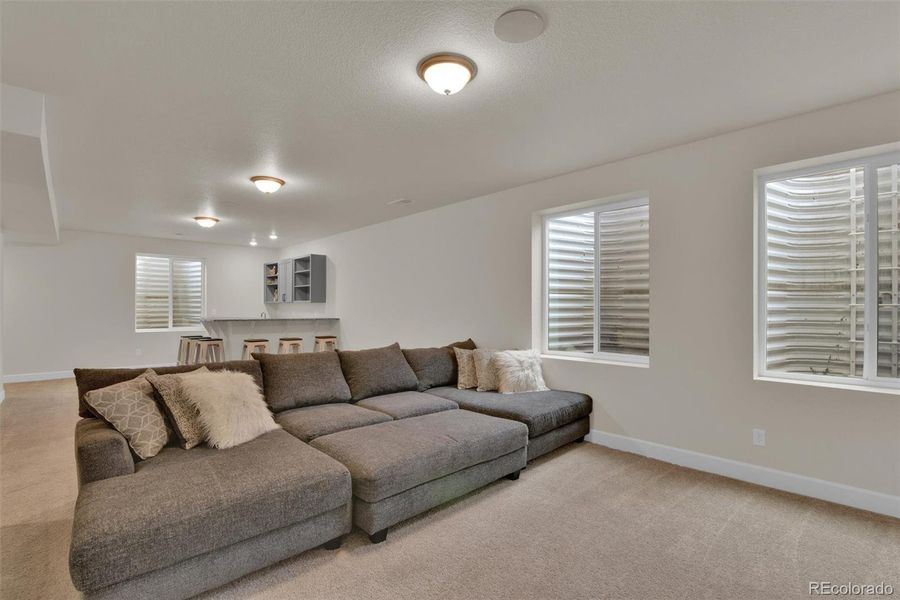 Basement livingroom