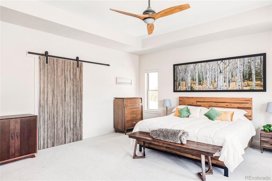 Primary Bedroom w/ Barn-door Access to Bathroom